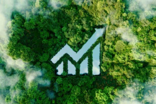 新国标电动车不能带小孩？超过25km/h自动断电？都是误读